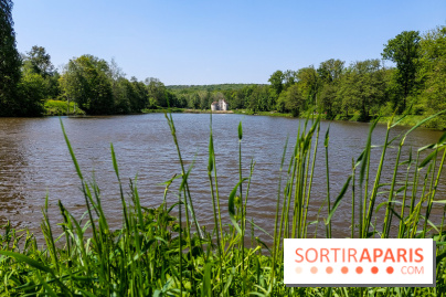 Balade nature dans la forêt de Montmorency, nos photos