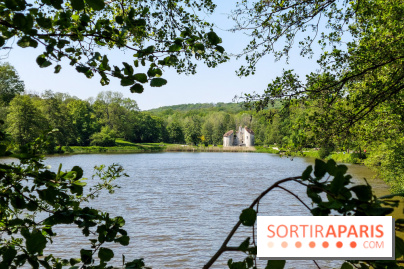 Balade nature dans la forêt de Montmorency, nos photos
