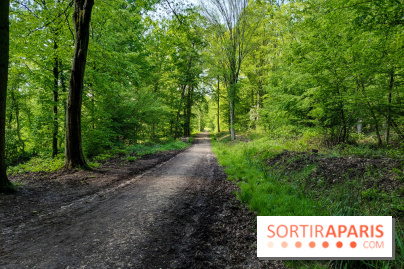 Balade nature dans la forêt de Montmorency, nos photos