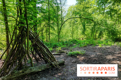 Balade nature dans la forêt de Montmorency, nos photos