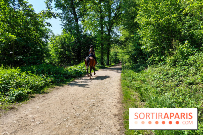Balade nature dans la forêt de Montmorency, nos photos