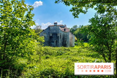 Balade nature dans la forêt de Montmorency, nos photos