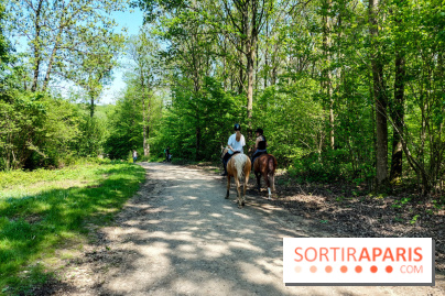 Balade nature dans la forêt de Montmorency, nos photos