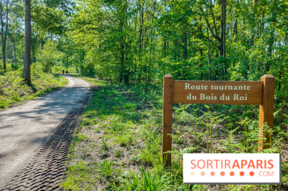 Balade nature dans la forêt de Montmorency, nos photos
