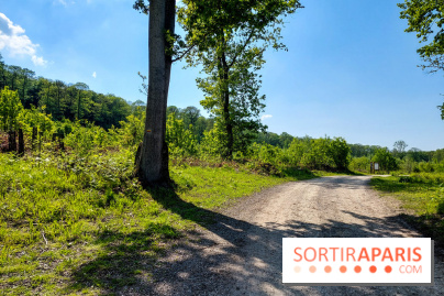 Balade nature dans la forêt de Montmorency, nos photos