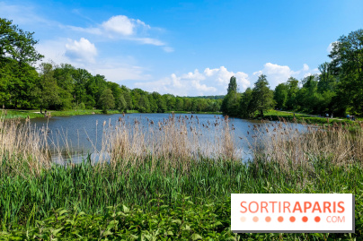 Balade nature dans la forêt de Montmorency, nos photos