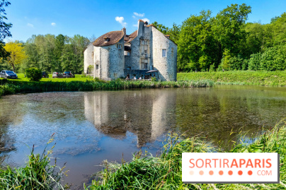 Balade nature dans la forêt de Montmorency, nos photos