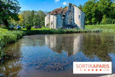 Balade nature dans la forêt de Montmorency, nos photos