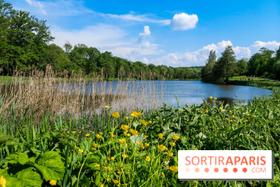 Balade nature dans la forêt de Montmorency, nos photos