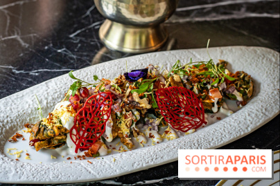 Berkeley Garden, l'excellent restaurant indien à deux pas du Pont de l'Alma -  A7C7499