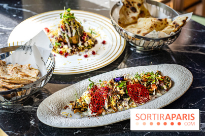 Berkeley Garden, l'excellent restaurant indien à deux pas du Pont de l'Alma -  A7C7504