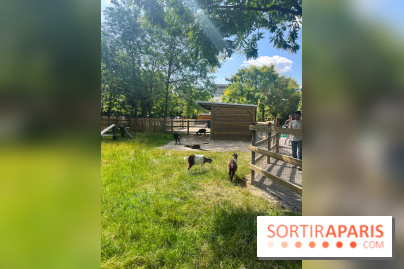 La ferme de la Villette et ses animaux