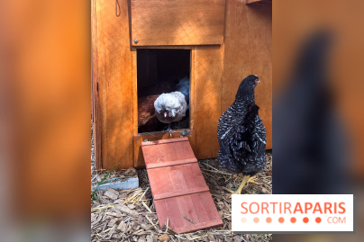 La ferme de la Villette et ses animaux