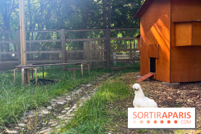 La ferme de la Villette et ses animaux