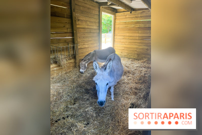 La ferme de la Villette et ses animaux