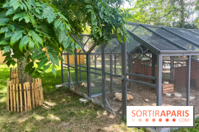 La ferme de la Villette et ses animaux