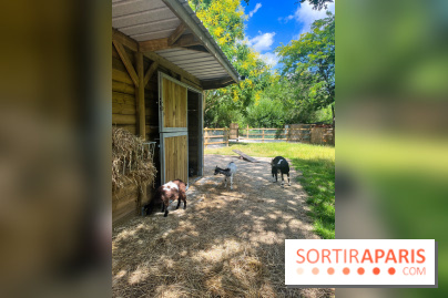 La ferme de la Villette et ses animaux