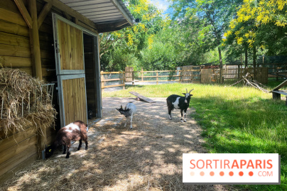 La ferme de la Villette et ses animaux