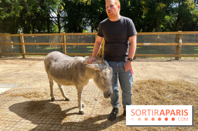 La ferme de la Villette et ses animaux
