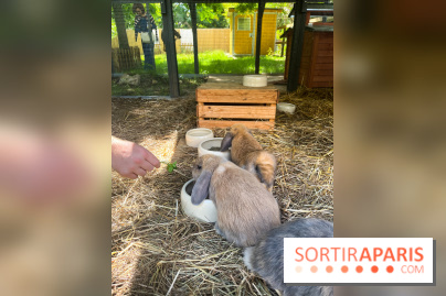La ferme de la Villette et ses animaux