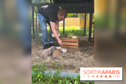 La ferme de la Villette et ses animaux