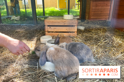 La ferme de la Villette et ses animaux
