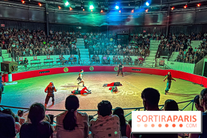 L'Été Gaulois au Parc Astérix  - IMG 9256