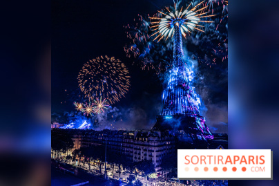 Feu d’artifice de Paris 2023 - photos  -  A7C8308