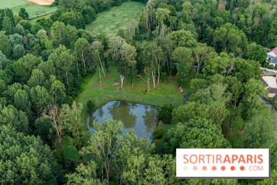 Montgolfière à Fontainebleau, vol au dessus de l'Ile-de-France -  A7C8986