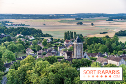 Montgolfière à Fontainebleau, vol au dessus de l'Ile-de-France -  A7C8993