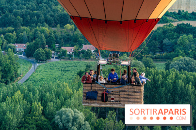 Montgolfière à Fontainebleau, vol au dessus de l'Ile-de-France -  A7C9000