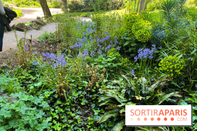 Le parc Kellerman, bijou de verdure dans le 13e arrondissement  - image00020