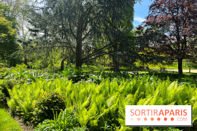 Le parc Kellerman, bijou de verdure dans le 13e arrondissement  - image00014