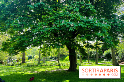 Le parc Kellerman, bijou de verdure dans le 13e arrondissement  - image00012