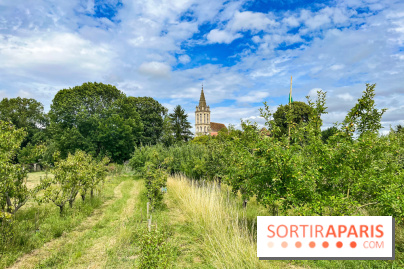 Cergy, la ville aux milles facettes - image00130