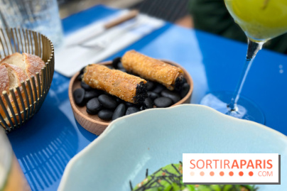 Riviera Fuga - Cannoli tartare de bœuf