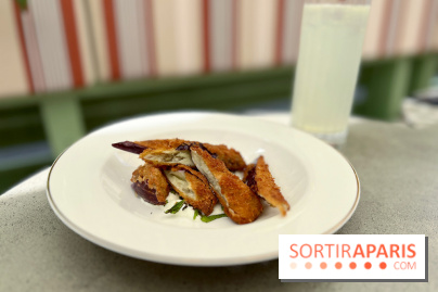 Braisenville - Aubergines frites