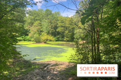 Le Parc forestier de la Poudrerie à Sevran