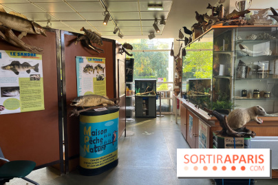 La Maison de la Pêche et de la Nature - image00027