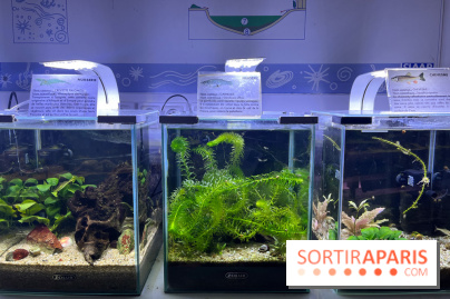 La Maison de la Pêche et de la Nature - image00016