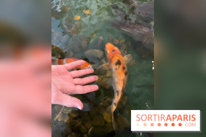 La Maison de la Pêche et de la Nature - image00001