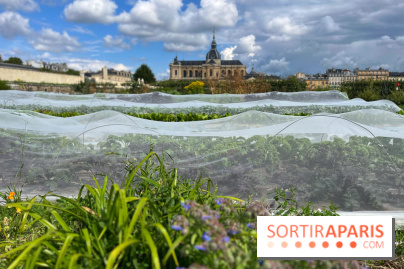 Potager du Roi
