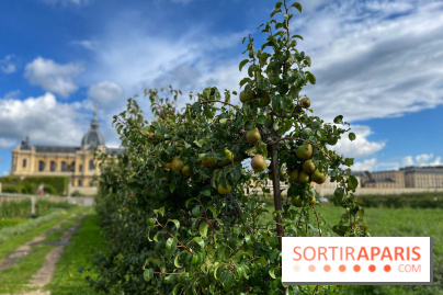 Potager du Roi