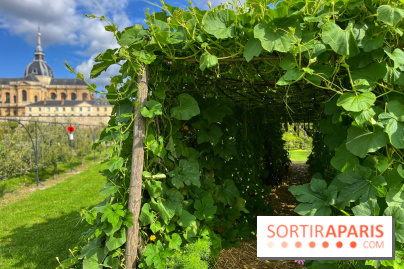 Potager du Roi