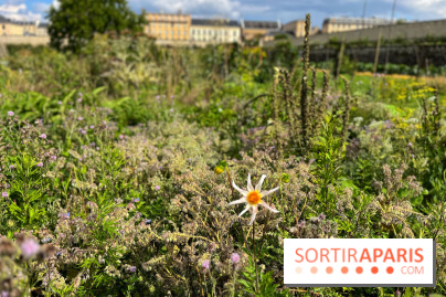 Potager du Roi