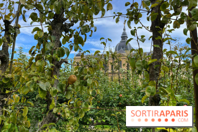 Potager du Roi