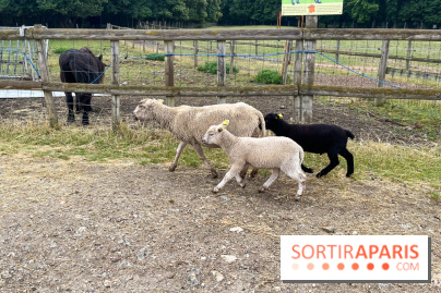 La ferme de Saint-Cyr l'Ecole - image00041