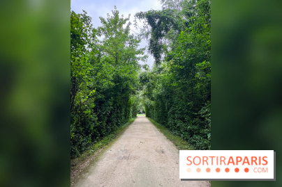 Le parc de la Haute-Île à Neuilly-sur-Marne - image00034