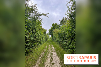 Le parc de la Haute-Île à Neuilly-sur-Marne - image00001