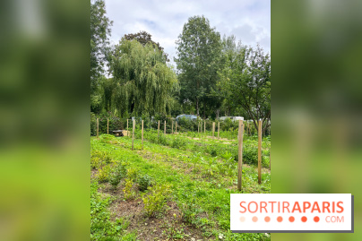 Les Rives de Paris, l'unique camping du 93 à Neuilly-sur-Marne